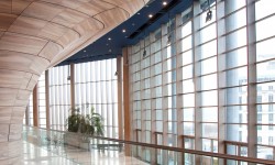 Etiam commodo convallis